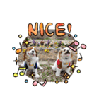 ムサシ＆くぅ（個別スタンプ：11）