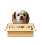 ムサシ＆くぅ（個別スタンプ：12）