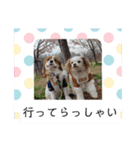 ムサシ＆くぅ（個別スタンプ：16）
