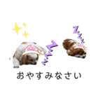ムサシ＆くぅ（個別スタンプ：17）