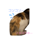 優稀記念スタンプ（個別スタンプ：6）