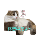 優稀記念スタンプ（個別スタンプ：7）