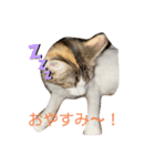 優稀記念スタンプ（個別スタンプ：8）