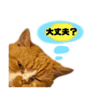 18歳のまんちちゃんpart4（個別スタンプ：10）