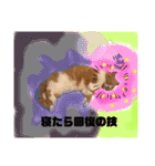 18歳のまんちちゃんpart4（個別スタンプ：12）