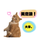 18歳のまんちちゃんpart4（個別スタンプ：15）