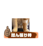 18歳のまんちちゃんpart4（個別スタンプ：20）