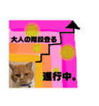 18歳のまんちちゃんpart4（個別スタンプ：23）