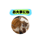 18歳のまんちちゃんpart4（個別スタンプ：25）