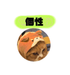 18歳のまんちちゃんpart4（個別スタンプ：31）