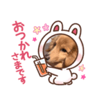 トムの色々スタンプpart2（個別スタンプ：1）