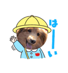 トムの色々スタンプpart2（個別スタンプ：2）