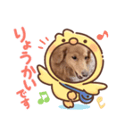 トムの色々スタンプpart2（個別スタンプ：8）