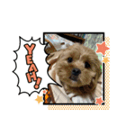 きなこスタンプvol.1（個別スタンプ：1）