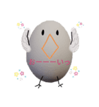 たまご=Egg（個別スタンプ：12）