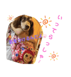 愛犬りくちゃん4（個別スタンプ：4）