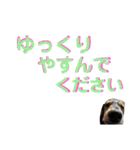 愛犬りくちゃん4（個別スタンプ：17）
