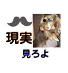 愛犬りくちゃん4（個別スタンプ：20）