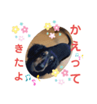 愛犬りくちゃん4（個別スタンプ：23）