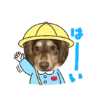 愛犬りくちゃん4（個別スタンプ：27）