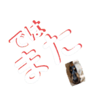 愛犬りくちゃん4（個別スタンプ：29）