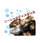 愛犬りくちゃん4（個別スタンプ：32）