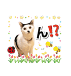 ファニーなニャンズ 2021 卒業にゃんこ2（個別スタンプ：3）