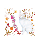 ファニーなニャンズ 2021 卒業にゃんこ2（個別スタンプ：10）