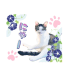 ファニーなニャンズ 2021 卒業にゃんこ2（個別スタンプ：15）