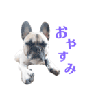 諭吉スタンプ！！！（個別スタンプ：2）