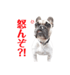 諭吉スタンプ！！！（個別スタンプ：18）
