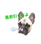 諭吉スタンプ！！！（個別スタンプ：19）