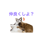 イブの愉快な仲間たち（個別スタンプ：1）