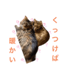 イブの愉快な仲間たち（個別スタンプ：2）