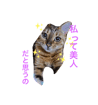 イブの愉快な仲間たち（個別スタンプ：5）