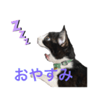 ハナクソぬこすたんぷ❗️❗️❗️（個別スタンプ：2）