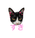 ハナクソぬこすたんぷ❗️❗️❗️（個別スタンプ：9）