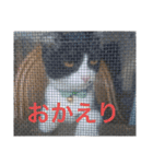 ハナクソぬこすたんぷ❗️❗️❗️（個別スタンプ：26）