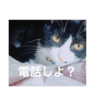 ハナクソぬこすたんぷ❗️❗️❗️（個別スタンプ：27）