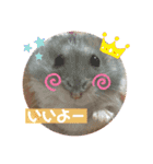 気まぐれねねこのスタンプ♡2（個別スタンプ：4）