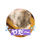 気まぐれねねこのスタンプ♡2（個別スタンプ：5）