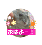 気まぐれねねこのスタンプ♡2（個別スタンプ：6）