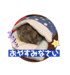 気まぐれねねこのスタンプ♡2（個別スタンプ：7）