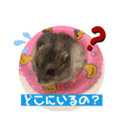 気まぐれねねこのスタンプ♡2（個別スタンプ：9）