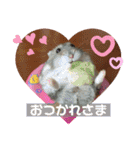 気まぐれねねこのスタンプ♡2（個別スタンプ：10）