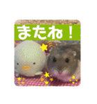 気まぐれねねこのスタンプ♡2（個別スタンプ：17）