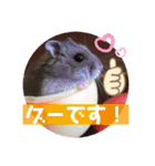 気まぐれねねこのスタンプ♡2（個別スタンプ：18）