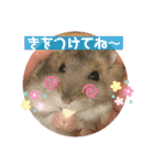 気まぐれねねこのスタンプ♡2（個別スタンプ：20）