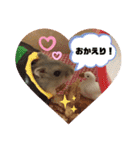 気まぐれねねこのスタンプ♡2（個別スタンプ：21）
