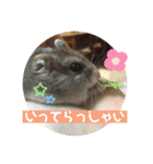 気まぐれねねこのスタンプ♡2（個別スタンプ：22）
